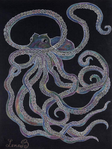 Octopus $250
