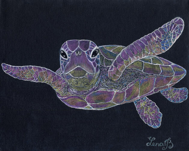Rainbow Turtle $250